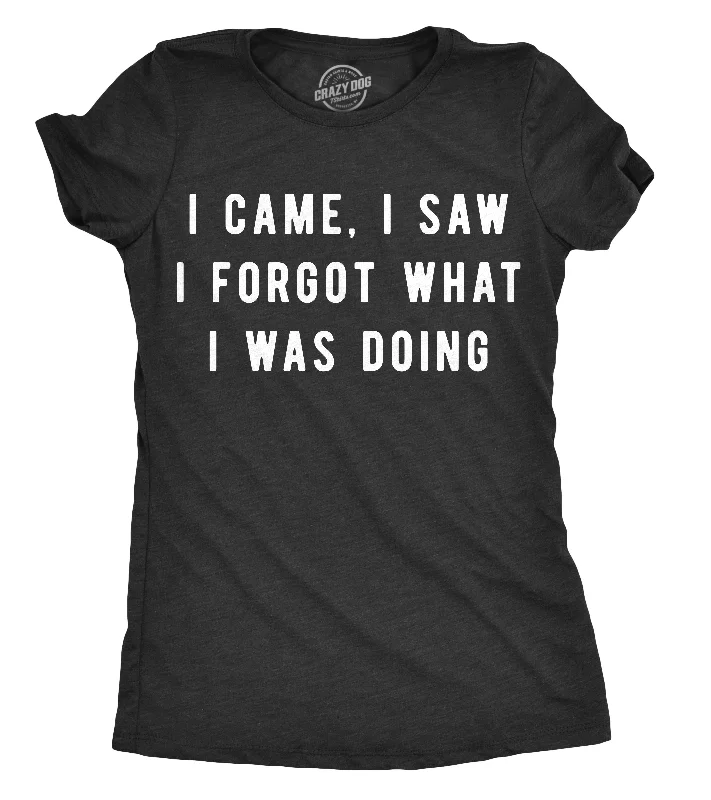 I Came, I Saw I Forgot What I Was Doing Women's T Shirt-- Layered Multi-layer Single Layer